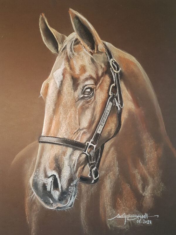 PORTRAIT CHEVAL
