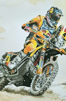 Dakar : Daniel Sanders